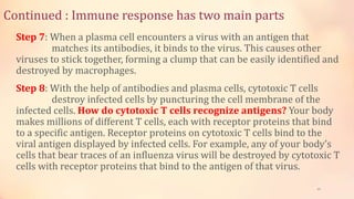 Continued : Immune response has two main parts
Step 7: When a plasma cell encounters a virus with an antigen that
matches its antibodies, it binds to the virus. This causes other
viruses to stick together, forming a clump that can be easily identified and
destroyed by macrophages.
Step 8: With the help of antibodies and plasma cells, cytotoxic T cells
destroy infected cells by puncturing the cell membrane of the
infected cells. How do cytotoxic T cells recognize antigens? Your body
makes millions of different T cells, each with receptor proteins that bind
to a specific antigen. Receptor proteins on cytotoxic T cells bind to the
viral antigen displayed by infected cells. For example, any of your body’s
cells that bear traces of an influenza virus will be destroyed by cytotoxic T
cells with receptor proteins that bind to the antigen of that virus.
29
 