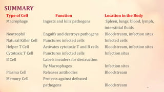SUMMARY
44
Type of Cell Function Location in the Body
Macrophage Ingests and kills pathogens Spleen, lungs, blood, lymph,
interstitial fluids
Neutrophil Engulfs and destroys pathogens Bloodstream, infection sites
Natural Killer Cell Punctures infected cells Infected cells
Helper T Cell Activates cytotoxic T and B cells Bloodstream, infection sites
Cytotoxic T Cell Punctures infected cells Infection sites
B Cell Labels invaders for destruction
By Macrophages Infection sites
Plasma Cell Releases antibodies Bloodstream
Memory Cell Protects against defeated
pathogens Bloodstream
 