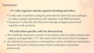 Summary
46
T cells organize attacks against invading microbes.
• T cells only respond to antigens presented to them by macrophages
or other antigen-presenting cells together with MHC proteins.
• Cytotoxic T cells kill cells that have foreign antigens presented
together with proteins.
B cells label specific cells for destruction.
1. The antibody molecules consist of two heavy and two light polypeptide
regions arranged like a “Y”; the ends of the two arms bind to antigens.
2. An individual can produce a tremendous variety of different antibodies
because the genes which produce those antibodies recombine
extensively.
 
