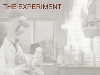 THE EXPERIMENT