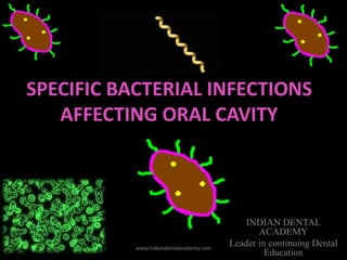 SPECIFIC BACTERIAL INFECTIONS
AFFECTING ORAL CAVITY
INDIAN DENTAL
ACADEMY
Leader in continuing Dental
Education
www.indiandentalacademy.com
 