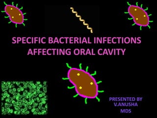 SPECIFIC BACTERIAL INFECTIONS
AFFECTING ORAL CAVITY
PRESENTED BY
V.ANUSHA
MDS
 