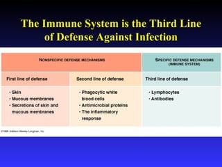 The Immune System is the Third Line
of Defense Against Infection
 
