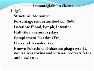 Immunoglobulin Classes
I. IgG
Structure: Monomer
Percentage serum antibodies: 80%
Location: Blood, lymph, intestine
Half-life in serum: 23 days
Complement Fixation: Yes
Placental Transfer: Yes
Known Functions: Enhances phagocytosis,
neutralizes toxins and viruses, protects fetus
and newborn.
 