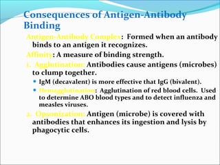 Consequences of Antigen-Antibody
Binding
Antigen-Antibody Complex: Formed when an antibody
binds to an antigen it recognizes.
Affinity: A measure of binding strength.
1. Agglutination: Antibodies cause antigens (microbes)
to clump together.
 IgM (decavalent) is more effective that IgG (bivalent).
 Hemagglutination: Agglutination of red blood cells. Used
to determine ABO blood types and to detect influenza and
measles viruses.
2. Opsonization: Antigen (microbe) is covered with
antibodies that enhances its ingestion and lysis by
phagocytic cells.
 