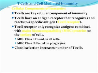 T Cells and Cell Mediated Immunity
Cellular Components of Immunity:
T cells are key cellular component of immunity.
T cells have an antigen receptor that recognizes and
reacts to a specific antigen (T cell receptor).
T cell receptor only recognize antigens combined
with major histocompatability (MHC) proteins on
the surface of cells.
 MHC Class I: Found on all cells.
 MHC Class II: Found on phagocytes.
Clonal selection increases number of T cells.
 