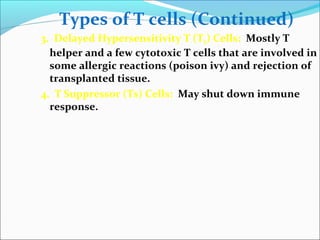 Types of T cells (Continued)
3. Delayed Hypersensitivity T (TD) Cells: Mostly T
helper and a few cytotoxic T cells that are involved in
some allergic reactions (poison ivy) and rejection of
transplanted tissue.
4. T Suppressor (Ts) Cells: May shut down immune
response.
 