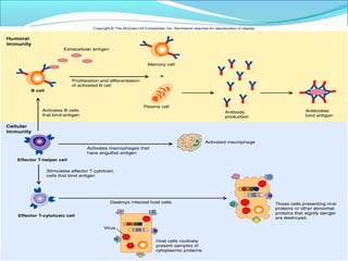 Immunochemistry