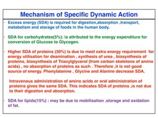 Specific dynamic action and nutrition | PDF