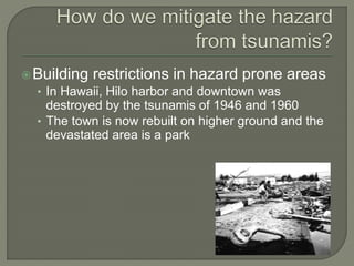 Tsunami hazard area hawaii