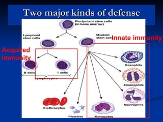 Define Specific Immunity Specificimmunity 110703094200-phpapp02 | PPT