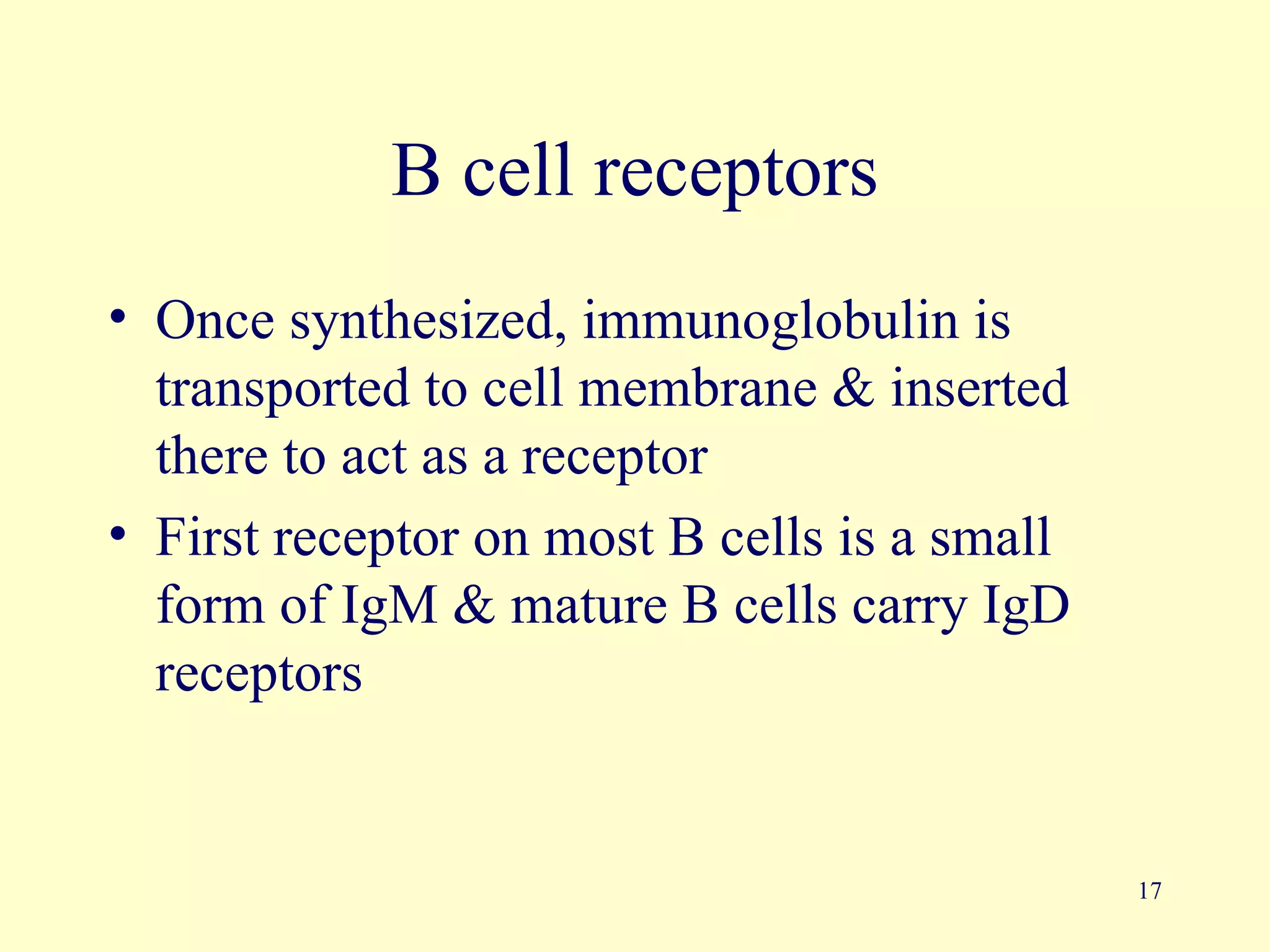 B cell receptors
• Once synthesized, immunoglobulin is
  transported to cell membrane & inserted
  there to act as a receptor
• First receptor on most B cells is a small
  form of IgM & mature B cells carry IgD
  receptors


                                              17
 
