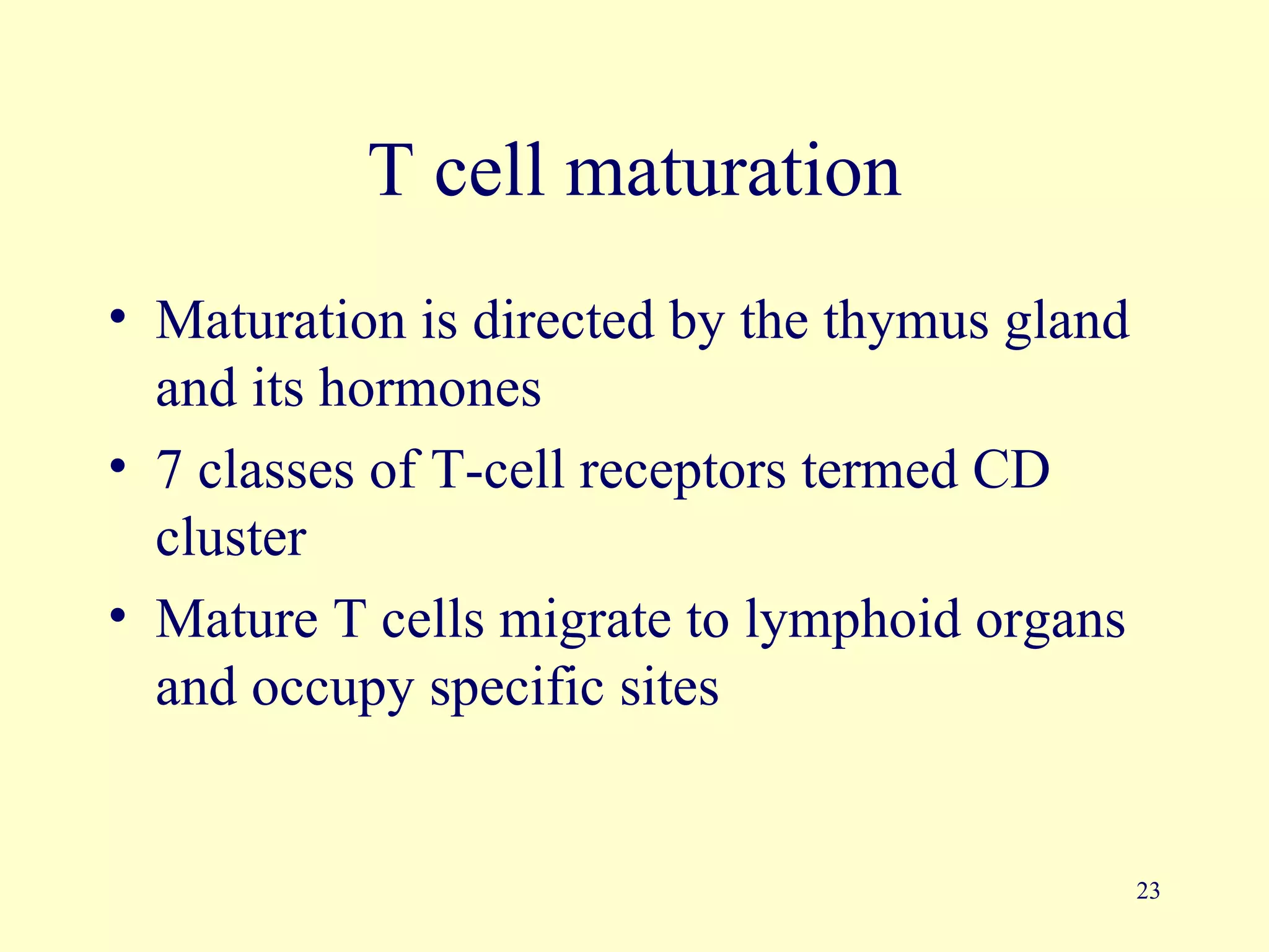 T cell maturation
• Maturation is directed by the thymus gland
  and its hormones
• 7 classes of T-cell receptors termed CD
  cluster
• Mature T cells migrate to lymphoid organs
  and occupy specific sites


                                               23
 