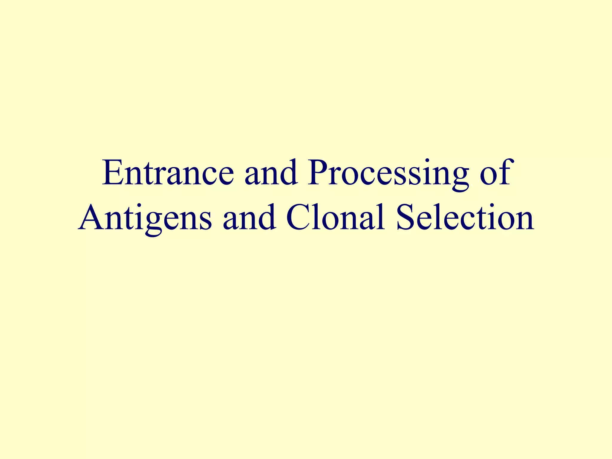Entrance and Processing of
Antigens and Clonal Selection
 