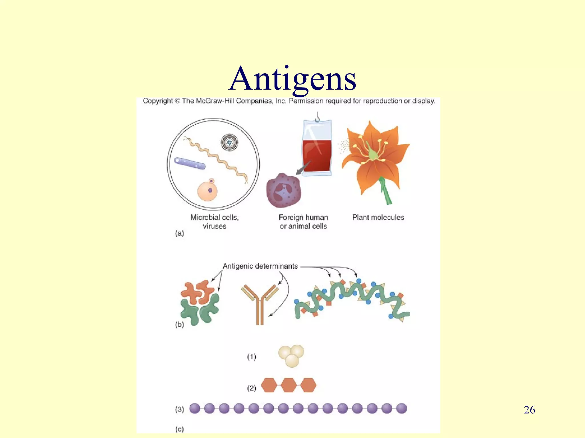 Antigens




           26
 