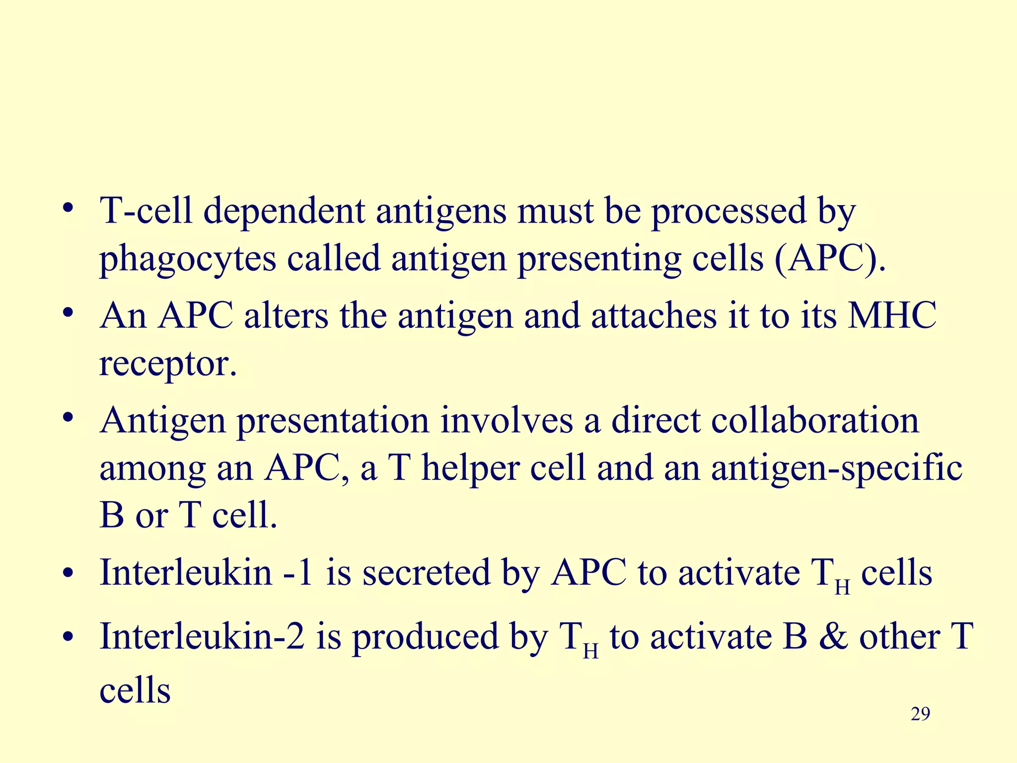 • T-cell dependent antigens must be processed by
  phagocytes called antigen presenting cells (APC).
• An APC alters the antigen and attaches it to its MHC
  receptor.
• Antigen presentation involves a direct collaboration
  among an APC, a T helper cell and an antigen-specific
  B or T cell.
• Interleukin -1 is secreted by APC to activate TH cells
• Interleukin-2 is produced by TH to activate B & other T
  cells                                              29
 