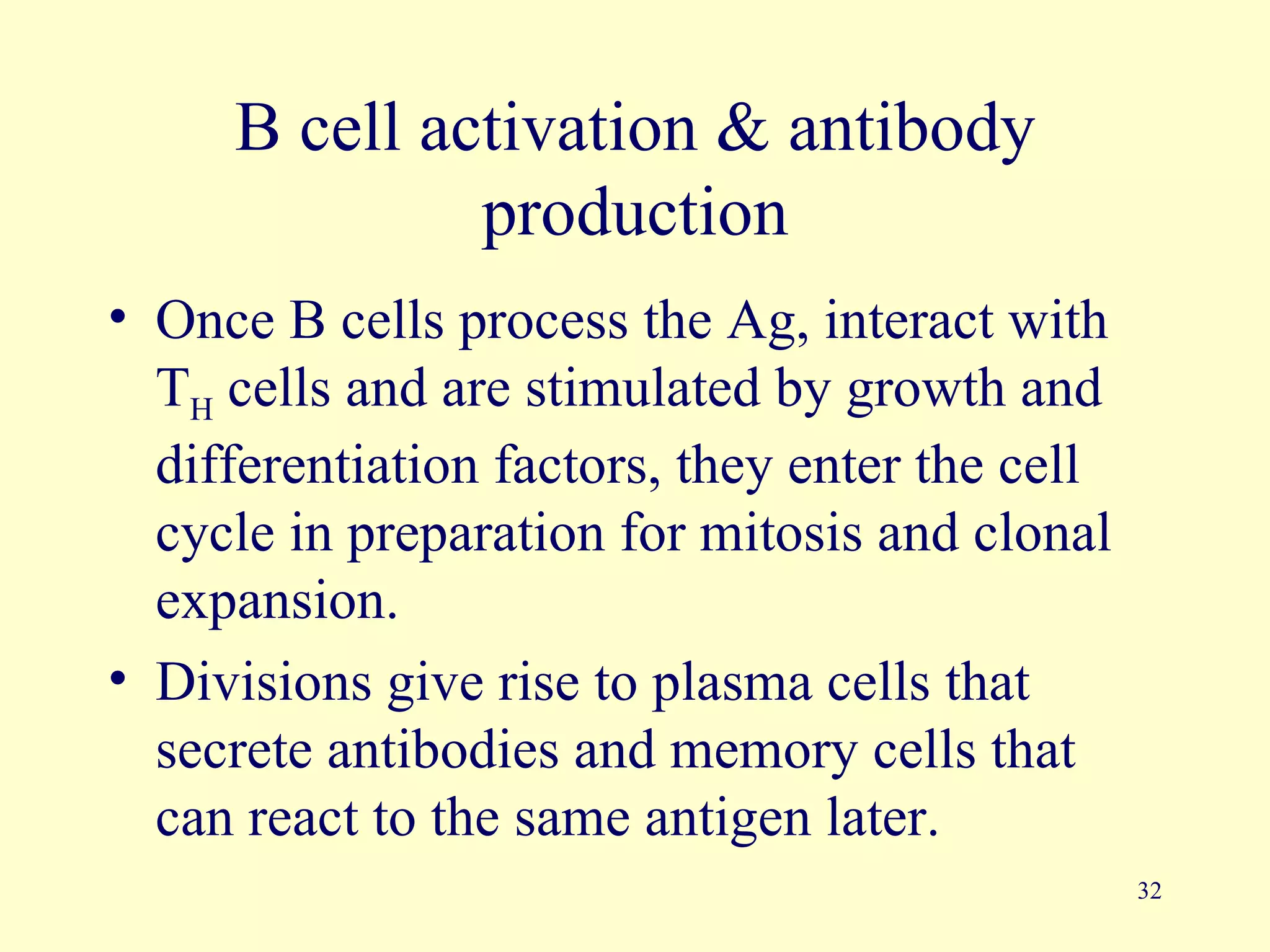 B cell activation & antibody
              production
• Once B cells process the Ag, interact with
  TH cells and are stimulated by growth and
  differentiation factors, they enter the cell
  cycle in preparation for mitosis and clonal
  expansion.
• Divisions give rise to plasma cells that
  secrete antibodies and memory cells that
  can react to the same antigen later.
                                                 32
 