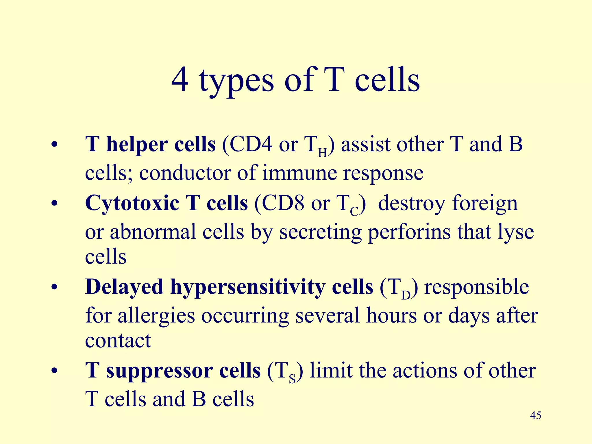 4 types of T cells
•   T helper cells (CD4 or TH) assist other T and B
    cells; conductor of immune response
•   Cytotoxic T cells (CD8 or TC) destroy foreign
    or abnormal cells by secreting perforins that lyse
    cells
•   Delayed hypersensitivity cells (TD) responsible
    for allergies occurring several hours or days after
    contact
•   T suppressor cells (TS) limit the actions of other
    T cells and B cells
                                                      45
 