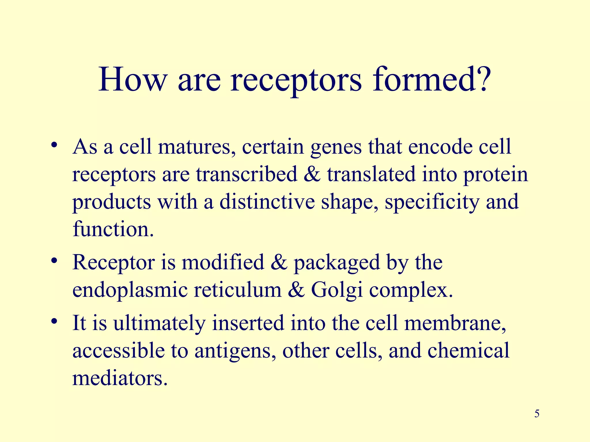 How are receptors formed?
• As a cell matures, certain genes that encode cell
  receptors are transcribed & translated into protein
  products with a distinctive shape, specificity and
  function.
• Receptor is modified & packaged by the
  endoplasmic reticulum & Golgi complex.
• It is ultimately inserted into the cell membrane,
  accessible to antigens, other cells, and chemical
  mediators.
                                                        5
 