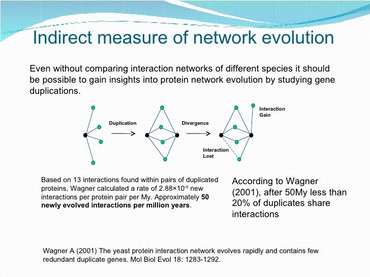 Gene interaction network Gene interaction network
