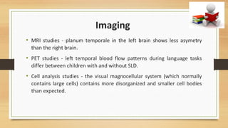 Imaging
• MRI studies - planum temporale in the left brain shows less asymetry
than the right brain.
• PET studies - left temporal blood flow patterns during language tasks
differ between children with and without SLD.
• Cell analysis studies - the visual magnocellular system (which normally
contains large cells) contains more disorganized and smaller cell bodies
than expected.
 