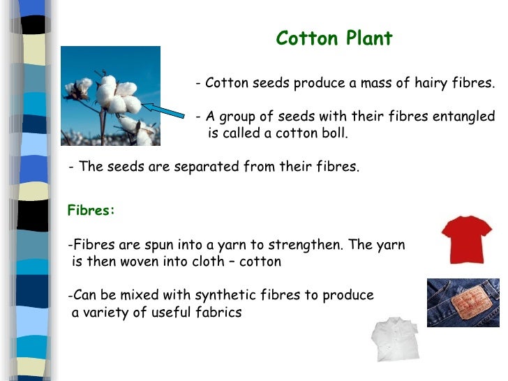 Specific Plant Uses