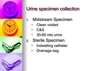Urine specimen collection Midstream Specimen Clean voided C&S 30-60 mls urine Sterile Specimen Indwelling catheter Drainage bag 