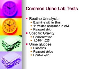 Common Urine Lab Tests Routine Urinalysis Examine within 2hrs 1 st  voided specimen in AM Reagent strip Specific Gravity Concentration 1.010-1.025 Urine glucose Diabetics Reagent strips Double void 