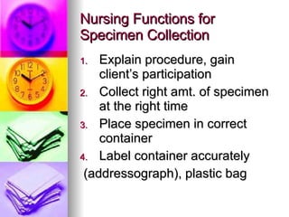 Nursing Functions for Specimen Collection Explain procedure, gain client’s participation Collect right amt. of specimen at the right time Place specimen in correct container  Label container accurately  (addressograph), plastic bag 
