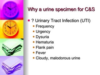 Why a urine specimen for C&S ? Urinary Tract Infection (UTI) Frequency Urgency Dysuria Hematuria Flank pain Fever Cloudy, malodorous urine 