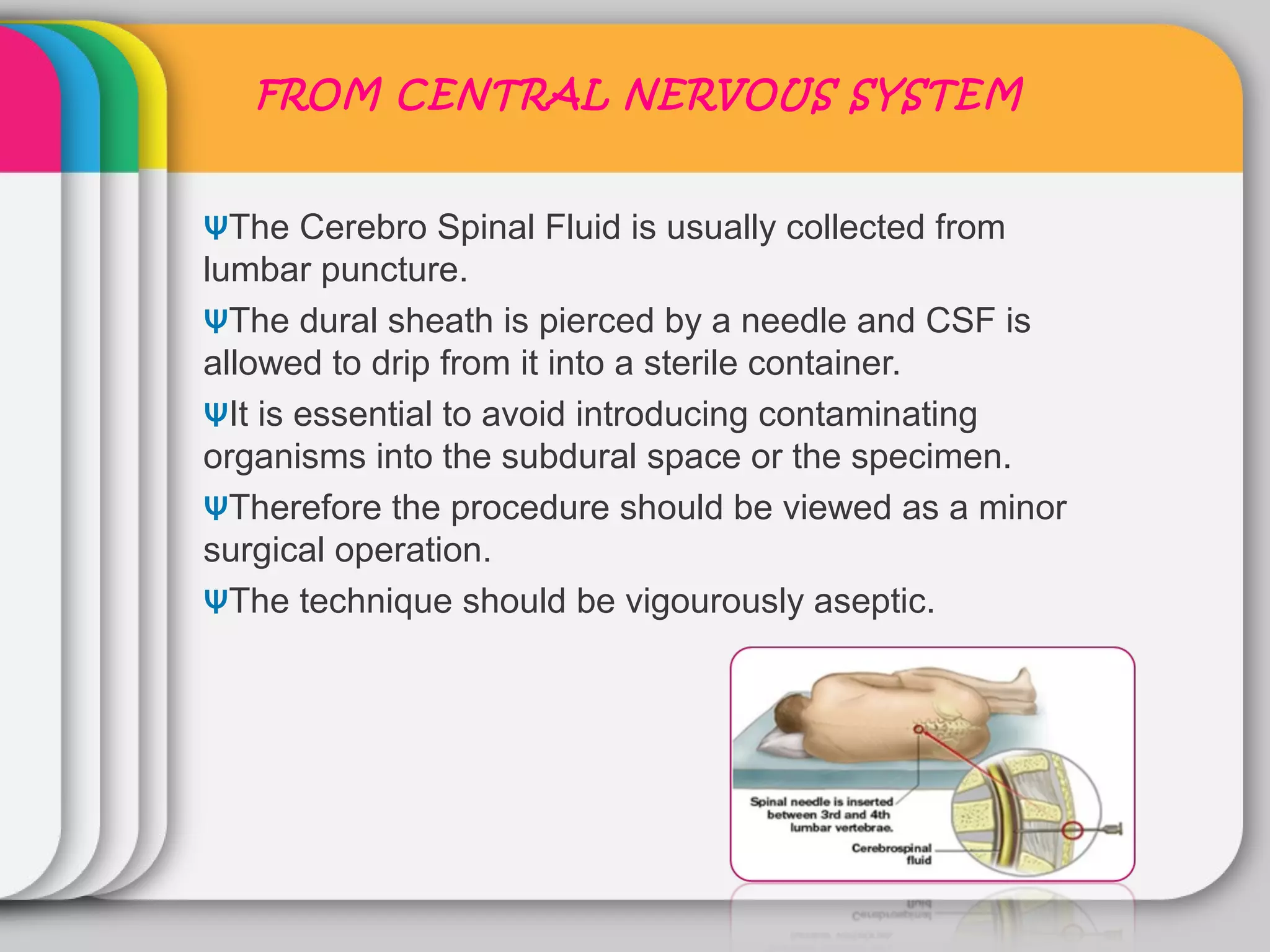 FROM CENTRAL NERVOUS SYSTEM


ᴪThe Cerebro Spinal Fluid is usually collected from
lumbar puncture.
ᴪThe dural sheath is pierced by a needle and CSF is
allowed to drip from it into a sterile container.
ᴪIt is essential to avoid introducing contaminating
organisms into the subdural space or the specimen.
ᴪTherefore the procedure should be viewed as a minor
surgical operation.
ᴪThe technique should be vigourously aseptic.
 