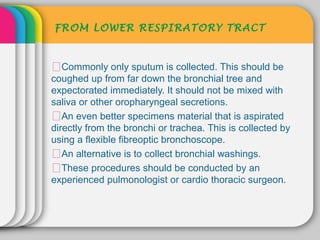 FROM LOWER RESPIRATORY TRACT



ᵜCommonly only sputum is collected. This should be
coughed up from far down the bronchial tree and
expectorated immediately. It should not be mixed with
saliva or other oropharyngeal secretions.
ᵜAn even better specimens material that is aspirated
directly from the bronchi or trachea. This is collected by
using a flexible fibreoptic bronchoscope.
ᵜAn alternative is to collect bronchial washings.
ᵜThese procedures should be conducted by an
experienced pulmonologist or cardio thoracic surgeon.
 