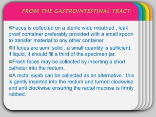 FROM THE GASTROINTESTINAL TRACT


                      WINTER
   Feces is collected on a sterile wide mouthed , leak
                            Template
proof container preferably provided with a small spoon
to transfer material to any other container.
   If feces are semi solid , a small quantity is sufficient:
if liquid, it should fill a third of the specimen jar.
   Fresh feces may be collected by inserting a short
catheter into the rectum.
   A rectal swab can be collected as an alternative : this
is gently inserted into the rectum and turned clockwise
and anti clockwise ensuring the rectal mucosa is firmly
rubbed.
 