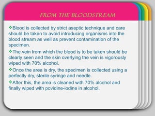 WINTER
               FROM THE BLOODSTREAM

Blood is collected by strict aseptic technique and care
                        Template
should be taken to avoid introducing organisms into the
blood stream as well as prevent contamination of the
specimen.
The vein from which the blood is to be taken should be
clearly seen and the skin overlying the vein is vigorously
wiped with 70% alcohol.
Once the area is dry, the specimen is collected using a
perfectly dry, sterile syringe and needle.
After this, the area is cleaned with 70% alcohol and
finally wiped with povidine-iodine in alcohol.
 