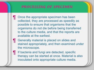 PROCESSING OF SPECIMEN


¶   Once the appropriate specimen has been
    collected, they are processed as speedily as
    possible to ensure that organisms that the
    organisms do not die before being transferred
    to the culture media, and that the reports are
    available at the earliest.
¶   Generally material is placed on slides and
    stained appropriately, and then examined under
    the microscope.
¶   If bacteria and fungi are detected, specific
    therapy can be started at once. Material is also
    inoculated onto appropriate culture media.
 