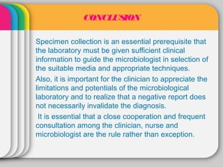 CONCLUSION

Specimen collection is an essential prerequisite that
the laboratory must be given sufficient clinical
information to guide the microbiologist in selection of
the suitable media and appropriate techniques.
Also, it is important for the clinician to appreciate the
limitations and potentials of the microbiological
laboratory and to realize that a negative report does
not necessarily invalidate the diagnosis.
 It is essential that a close cooperation and frequent
consultation among the clinician, nurse and
microbiologist are the rule rather than exception.
 