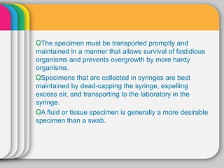 ῼThe specimen must be transported promptly and
maintained in a manner that allows survival of fastidious
organisms and prevents overgrowth by more hardy
organisms.
ῼSpecimens that are collected in syringes are best
maintained by dead-capping the syringe, expelling
excess air, and transporting to the laboratory in the
syringe.
ῼA fluid or tissue specimen is generally a more desirable
specimen than a swab.
 