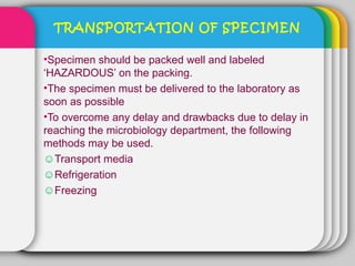 TRANSPORTATION OF SPECIMEN

•Specimen should be packed well and labeled
‘HAZARDOUS’ on the packing.
•The specimen must be delivered to the laboratory as
soon as possible
•To overcome any delay and drawbacks due to delay in
reaching the microbiology department, the following
methods may be used.
☺Transport media
☺Refrigeration
☺Freezing
 