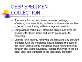 DEEP SPECIMEN
COLLECTION.
 Specimens for wound, lesion, abscess drainage,
effusions, exudates, boils, incisions or ulcerations are best
collected by aspirating with a syringe and needle.
 Using aseptic technique , clean the area in and over the
lesions with sterile saline and sterile gauze prior to
collection.
 Debride skin lesions, removing the crust and any purulent
exudates with the moistened gauze. Explore the base of
the lesion with a sterile moistened swab rolling the swab
through any visible exudates. Replace the swab in the gel
tube, label and transport to the laboratory promptly.
 