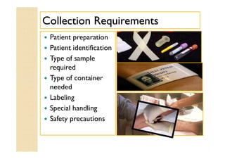 Collection RequirementsCollection Requirements
 Patient preparation
 Patient identification
 Type of sample
required
 Type of container
needed
 Labeling
 Special handling
 Safety precautions
 Patient preparation
 Patient identification
 Type of sample
required
 Type of container
needed
 Labeling
 Special handling
 Safety precautions
 