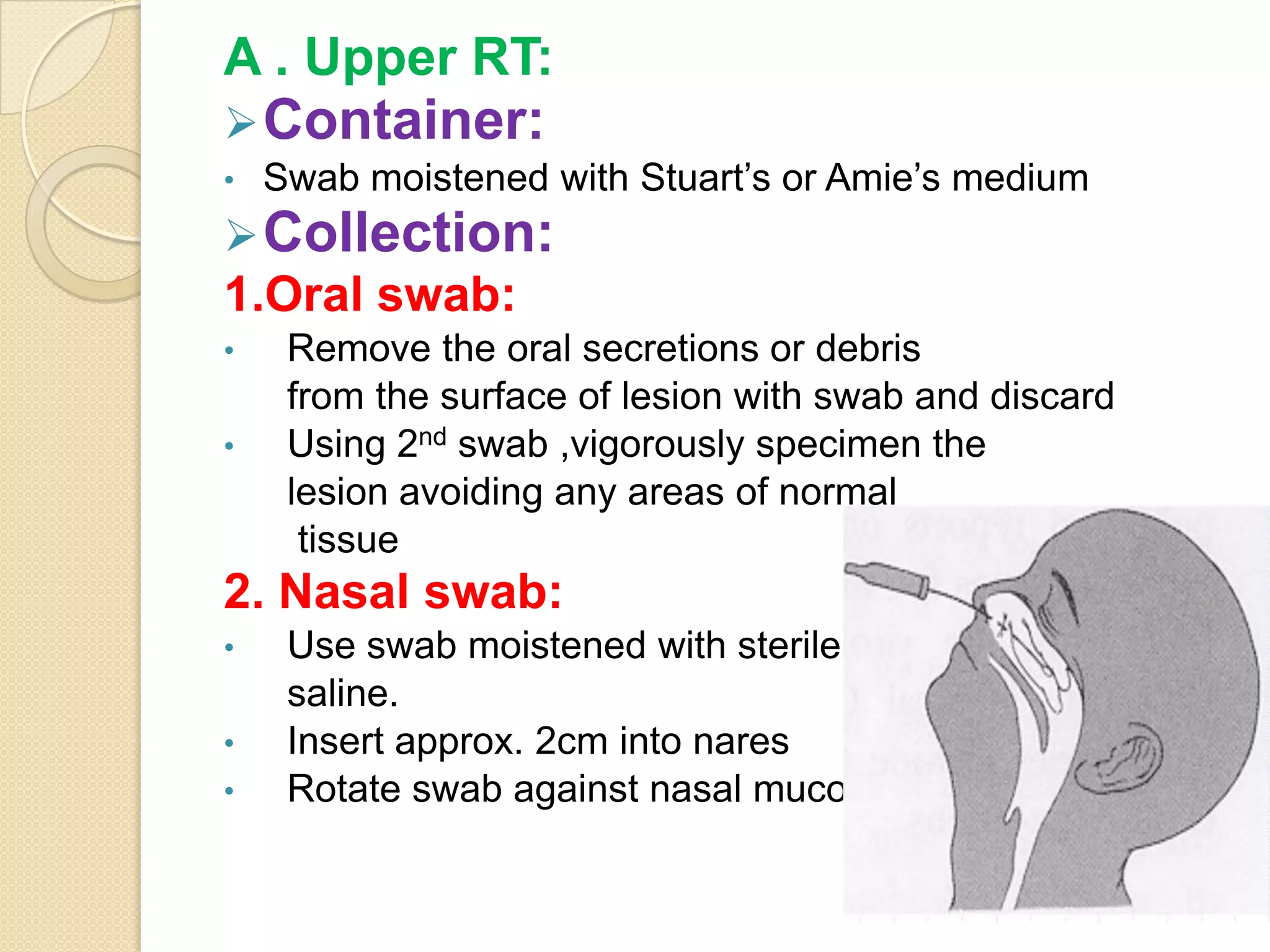 A . Upper RT:
Container:
• Swab moistened with Stuart’s or Amie’s medium
Collection:
1.Oral swab:
• Remove the oral secretions or debris
from the surface of lesion with swab and discard
• Using 2nd swab ,vigorously specimen the
lesion avoiding any areas of normal
tissue
2. Nasal swab:
• Use swab moistened with sterile
saline.
• Insert approx. 2cm into nares
• Rotate swab against nasal mucosa
 