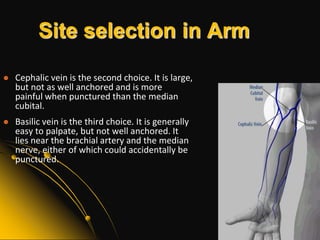 Site selection in ArmThe highlighted area shows the antecubitalfossa where the major veins used for venipuncture are located. Choose one that is bouncy or resilient, large enough to support good blood flow, and well-anchored by tissue.