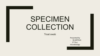 SPECIMEN
COLLECTION
Troat swab
Presented by
. M.AATHILA
3rd B.sc
microbiology
 