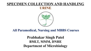 URINE SPECIMEN COLLECTION AND HANDLING CLASS 1 FOR ALL PARAMEDICAL OR ...