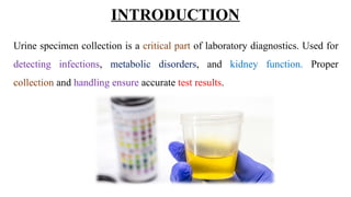URINE SPECIMEN COLLECTION AND HANDLING CLASS 1 FOR ALL PARAMEDICAL OR ...