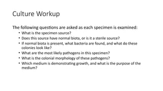 Specimen, Collection, and its Processing | PPTX