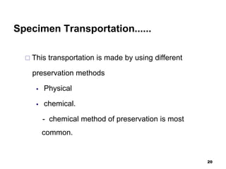 Specimen Transportation......
 This transportation is made by using different
preservation methods
 Physical
 chemical.
- chemical method of preservation is most
common.
20
 