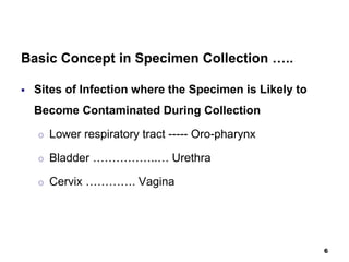 Basic Concept in Specimen Collection …..
 Sites of Infection where the Specimen is Likely to
Become Contaminated During Collection
o Lower respiratory tract ----- Oro-pharynx
o Bladder ……………..… Urethra
o Cervix …………. Vagina
6
 