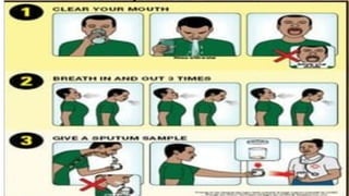 SPECIMEN COLLECTION by samina Roohi.pptx