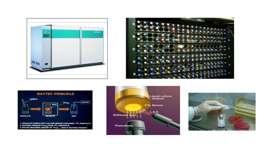 Specimen collection for clinical microbiology laboratory